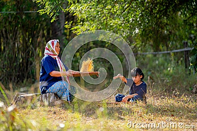 Portrait and close up of Senior Asian woman work with winnow rice using basketry and little girl stay beside and also work with Stock Photo