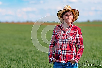 Portrait of confident female farmer standing in green wheat field Stock Photo