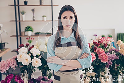 Portrait of cool concentrated self-employed lady feel independent small business haircut casual style beautiful shirt Stock Photo