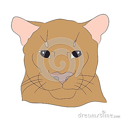 Portrait of a cougar, vector Vector Illustration