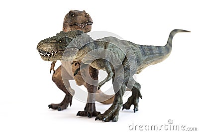 Portrait of a couple of tyrannosaurus rex on white background Stock Photo