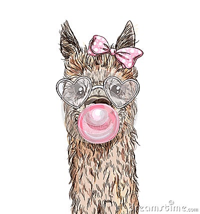 Portrait of the cute alpaca with pink bubble gum Vector Illustration
