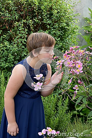 Girl smells of the blossoms of a Japanese anemone tomentosa Stock Photo