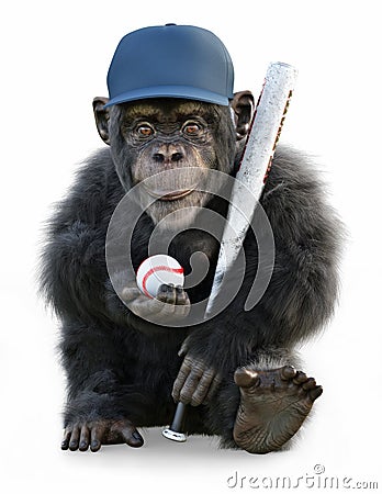 Portrait of a cute little monkey posing with baseball gear on a white background. Stock Photo
