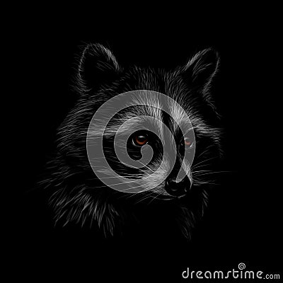 Portrait of a cute raccoon on a black background Vector Illustration