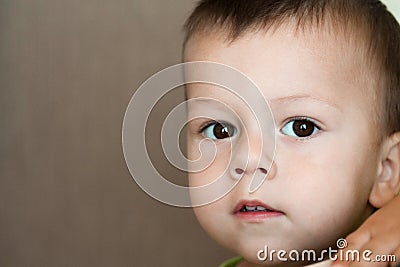 Portrait of cute toddler boy looking at camera with copy space for text Stock Photo