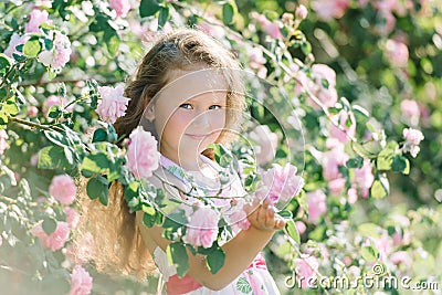 Portrait of a cute toddler girl outdoor in a rose garden smelling the flowers Stock Photo