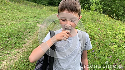 Portrait d'un préadolescent affamé marchant à travers un champ vert, une prairie et mangeant un bon concombre cru sur le pouce banque de vidéos Portrait d'un préadolescent affamé marchant à travers un champ vert, une prairie et mangeant un bon concombre cru sur le pouce banque de vidéos