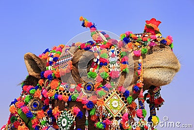 Portrait of decorated camel at Desert Festival, Jaisalmer, India Stock Photo