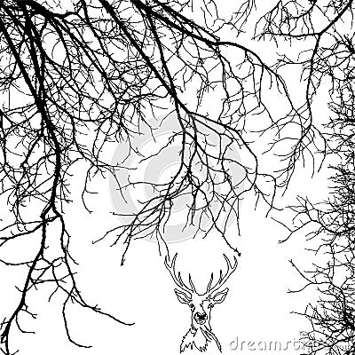 A portrait of a deer in branches Vector Illustration