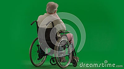 Portrait of disabled man isolated on chroma key green screen full shot. Senior bearded man sitting in wheelchair with Stock Photo