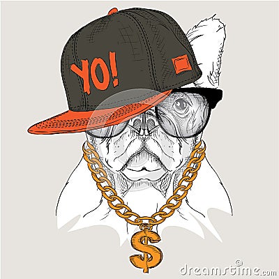 Portrait of dog in hip-hop hat. Vector illustration. Stock Photo