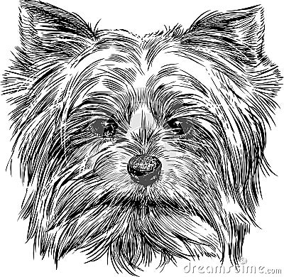 Portrait of dog Vector Illustration