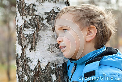 Portrait of dreamy boy about Birch, Fall, fleet Stock Photo