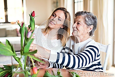 Elderly grandmother with an adult granddaughter at home. Stock Photo