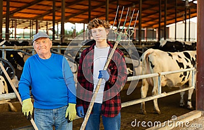 Elderly farmer standing with teenage grandson near stall with cows Stock Photo