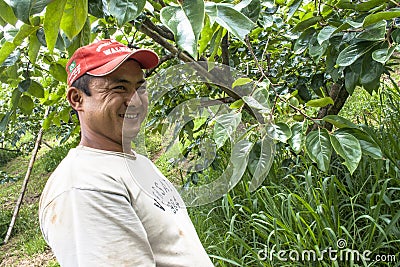 portrait of farmer on peaches fruit orchard Editorial Stock Photo