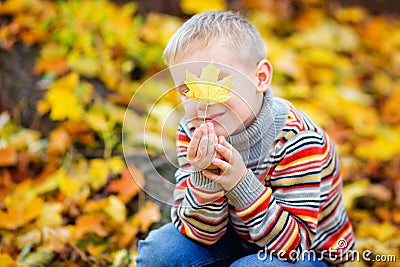 Portrait of a fashionable boy in the open air against a background of yellow leaves. Cute boy walking in the autumn Park. The Stock Photo