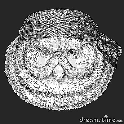 Portrait of fluffy persian cat Cool pirate, seaman, seawolf, sailor, biker animal for tattoo, t-shirt, emblem, badge Vector Illustration