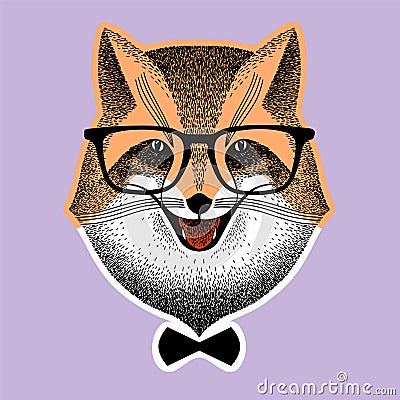 Portrait of a fox in glasses. fox with bow-tie. Fox hipster style. sly fox smiles. for poster, print or t-shirt. Liar Vector Illustration