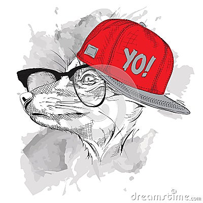 Portrait of fox in hip-hop hat. Vector illustration. Vector Illustration