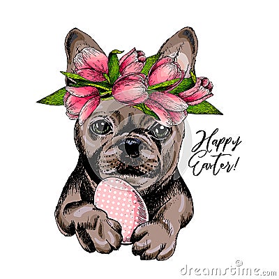 Portrait of french bulldog dog with Easter egg wearing tulip crown. Welcome spring. Hand drawn colored vector Vector Illustration