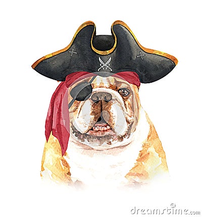 Watercolor french bulldog with Pirate blindfold and Pirate hat layer path. Cartoon Illustration