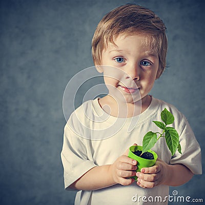 Portrait of funny little boy with window plants Stock Photo