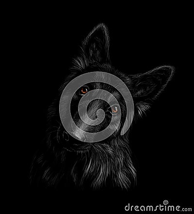 Portrait of a German shepherd dog on a black background Vector Illustration