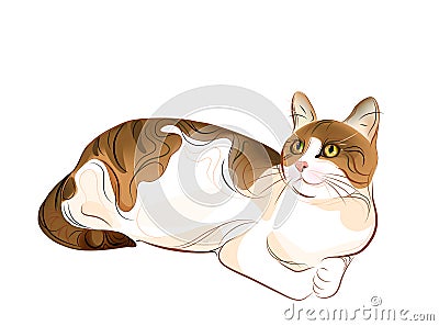 portrait of ginger tabby cat Vector Illustration