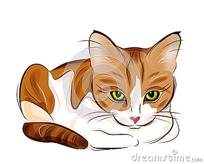 portrait of ginger tabby cat Vector Illustration