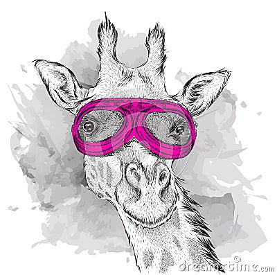 Portrait of a giraffe in motorcycle glasses. Vector illustration Vector Illustration