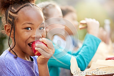 Portrait Of Girl With Friends Eating Healthy Picnic At Outdoor Table In Countryside Stock Photo