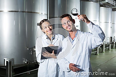 Portrait of glad two experts examining wine Stock Photo