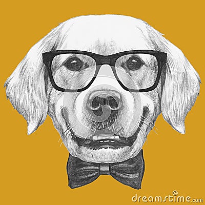 Portrait of Golden Retriever with glasses and bow tie. Cartoon Illustration