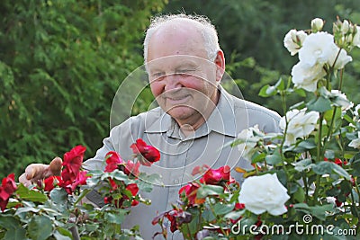 Portrait of grower of roses Stock Photo