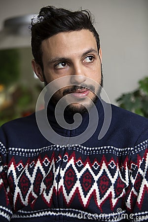 Portrait of handsome dark-haired man with beard Stock Photo