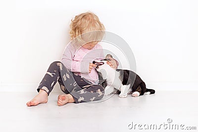 Portrait of a happy curly cute Caucasian little girl at home with a welsh corgi cardigan puppy playing on the floor in Stock Photo
