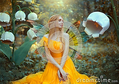 Portrait of happy fantasy woman blonde forest fairy. Fashion model in a bright yellow dress with butterfly wings sits Stock Photo