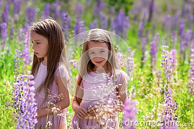 Portrait of happy identical twin sisters with long hair showing different emotions in beautiful dresses at sunny nature in grass Stock Photo