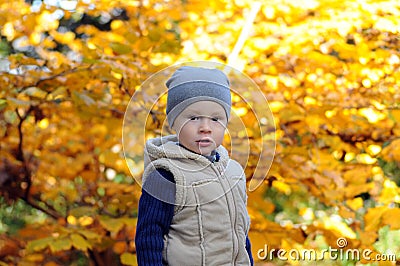 Happy little boy is standing in cap surrounded by fallen leaves. Stock Photo