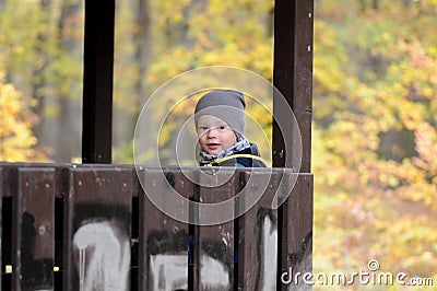 Portrait of happy little boy sitting in an arbor Stock Photo