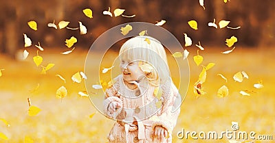 Portrait of happy little child having fun playing with flying yellow leaves in autumn day Stock Photo