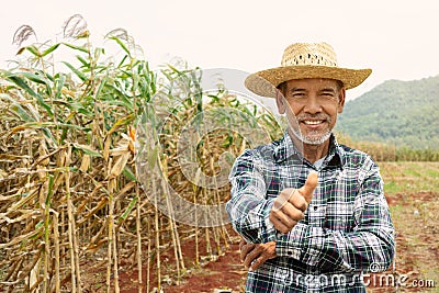 Portrait happy mature older man is smiling. Old senior farmer with white beard thumb up feeling confident. Stock Photo