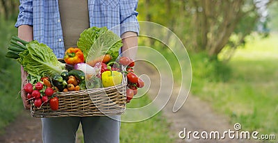 Portrait of a happy young farmer holding fresh vegetables in a basket. On a background of nature The concept of biological, bio pr Stock Photo