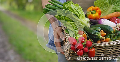 Portrait of a happy young farmer holding fresh vegetables in a basket. On a background of nature The concept of biological, bio pr Stock Photo