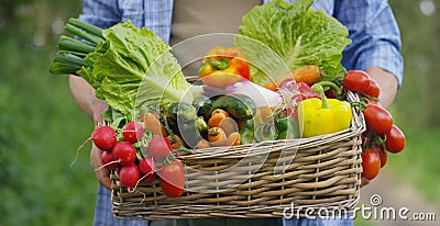 Portrait of a happy young farmer holding fresh vegetables in a basket. On a background of nature The concept of biological, bio pr Stock Photo