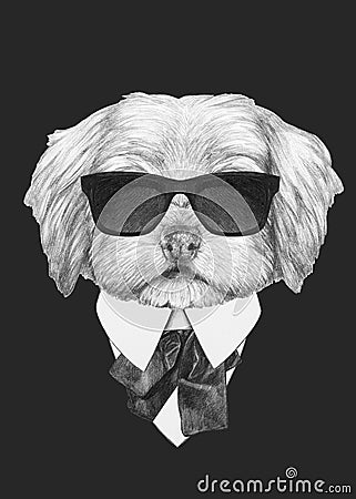 Portrait of Havanese in suit. Cartoon Illustration