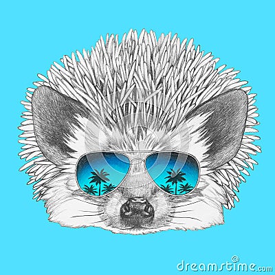 Portrait of Hedgehog with mirror sunglasses. Cartoon Illustration