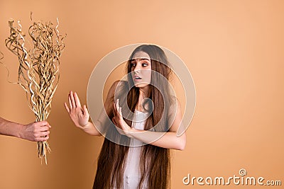 Portrait of her she nice-looking attractive lovely gloomy scared lady refusing to take dried flower messy thin weak hair Stock Photo